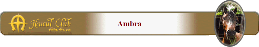 Ambra