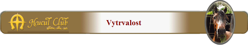 Vytrvalost