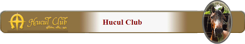 Hucul Club